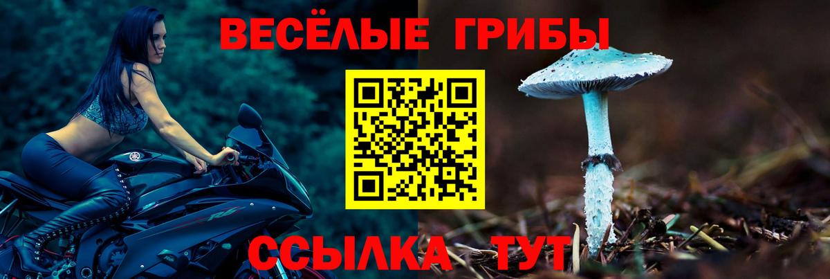 Галлюциногенные грибы мицелий  Вход с VPN  Канск 